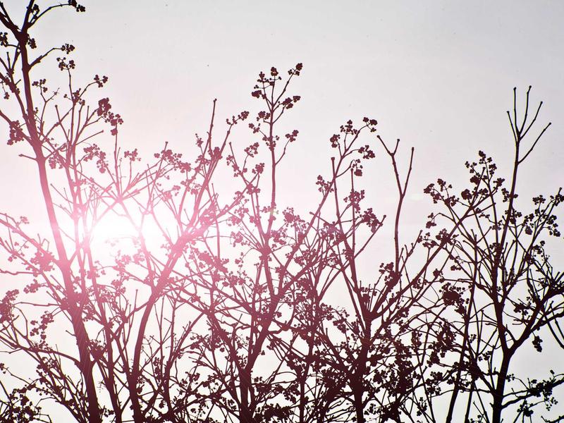 sudoku nature theme screenshot 1